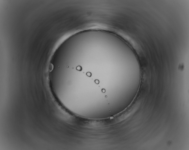 X0000101201375200807071304