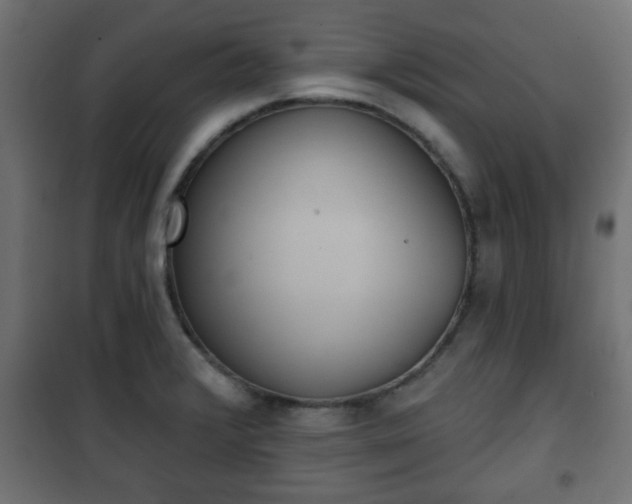 X0000101201376200807071304