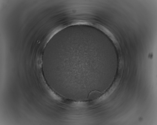 X0000101201377200807071304