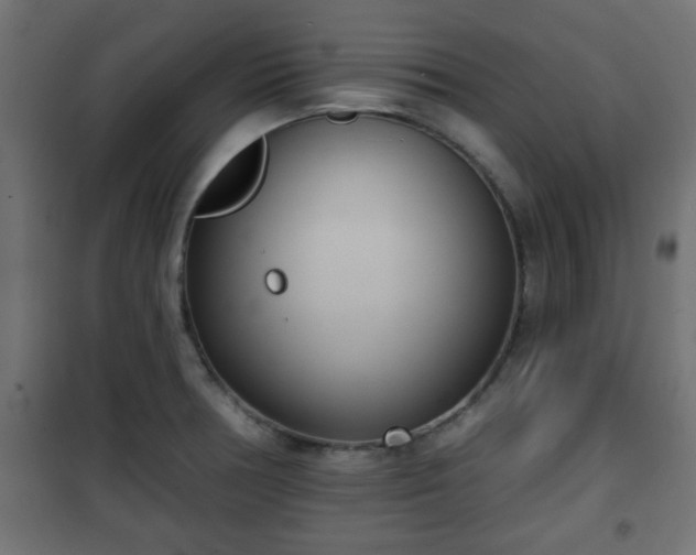 X0000101201378200807071304