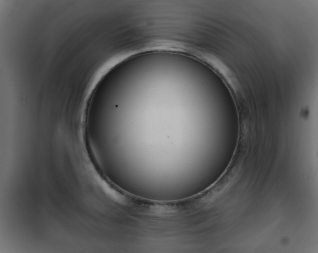 X0000101201379200807071304