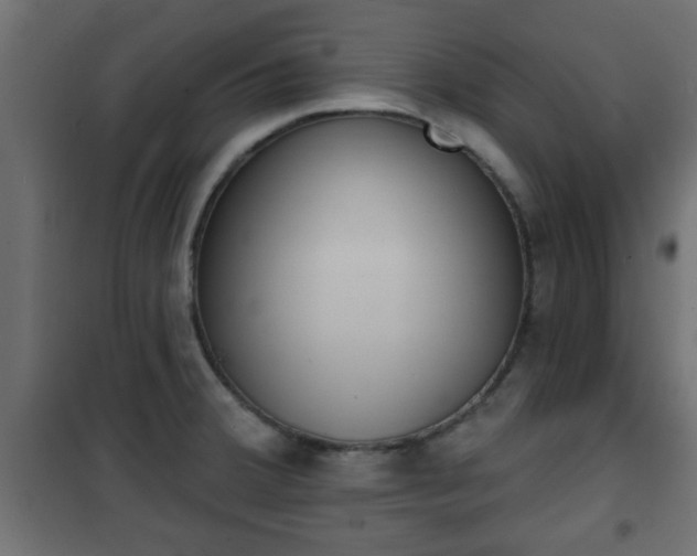 X0000101201380200807071304
