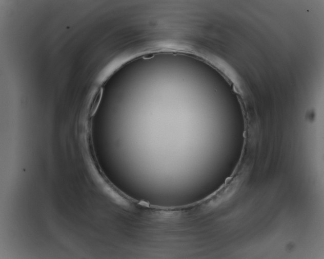 X0000101201381200807071304