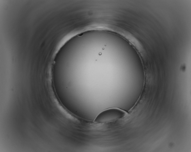 X0000101201382200807071304