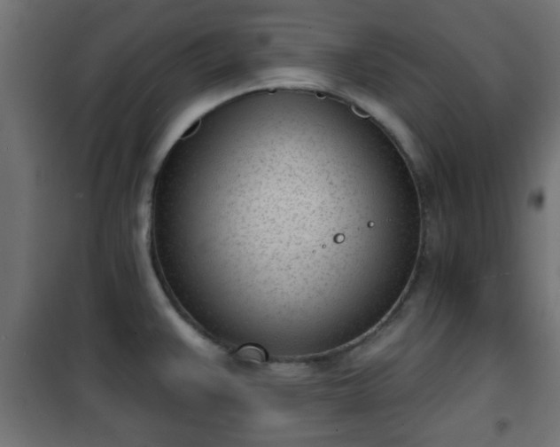 X0000101201383200807071304