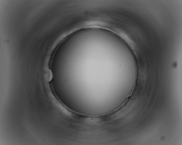 X0000101201384200807071304