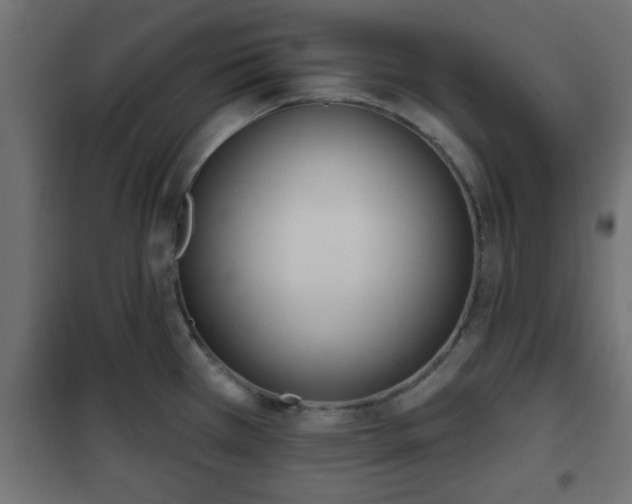 X0000101201385200807071304