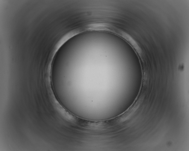 X0000101201386200807071304