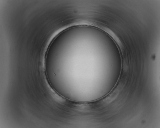 X0000101201388200807071304