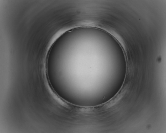 X0000101201389200807071304