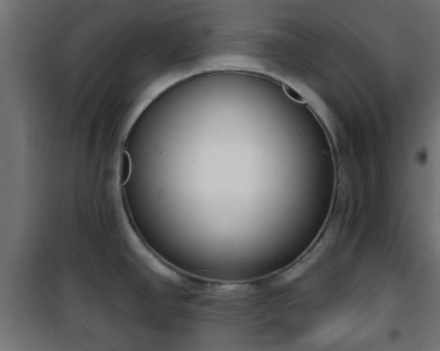 X0000101201390200807071304