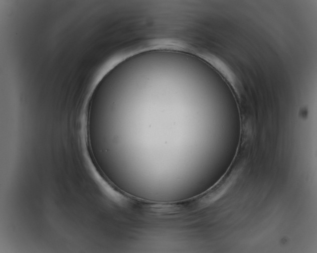 X0000101201391200807071304