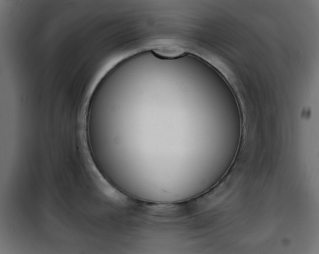 X0000101201392200807071304