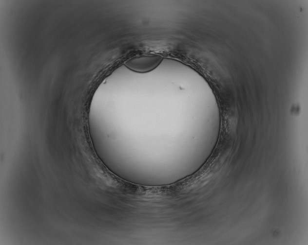 X0000101201393200807071303