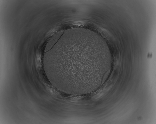 X0000101201394200807071303