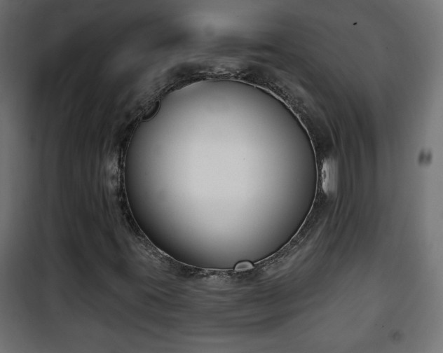 X0000101201395200807071303