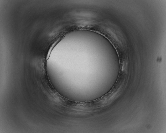 X0000101201396200807071303