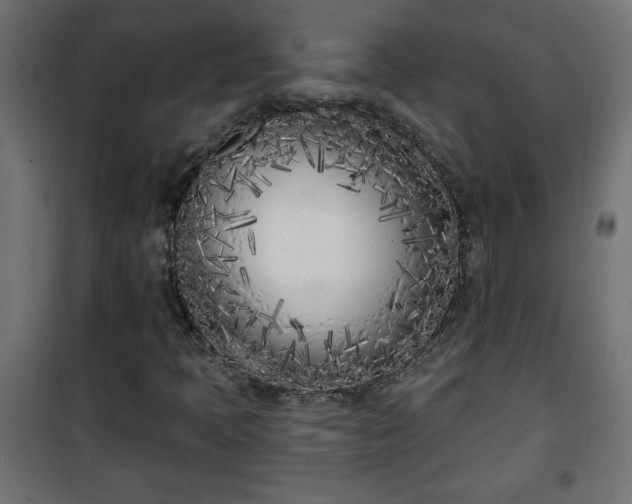 X0000101201397200807071303