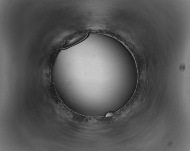 X0000101201398200807071303