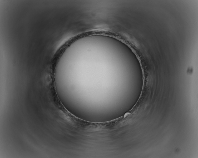 X0000101201400200807071303