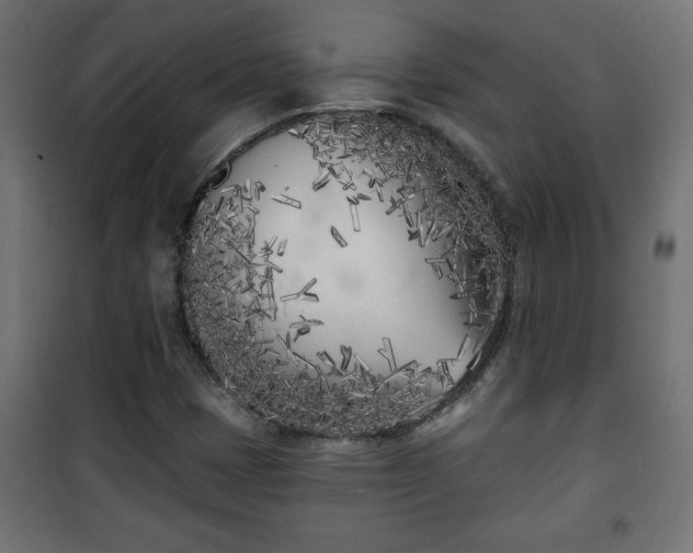 X0000101201401200807071303