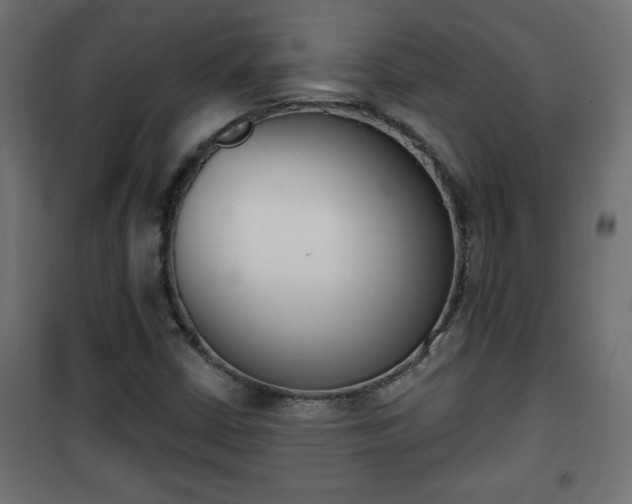 X0000101201402200807071303