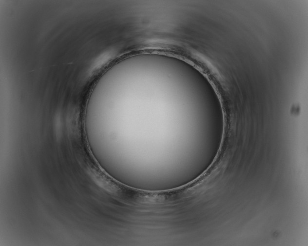 X0000101201403200807071303