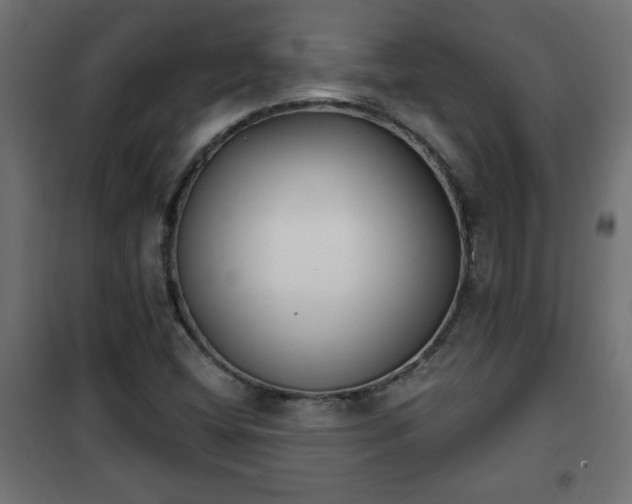 X0000101201404200807071303