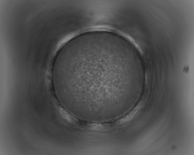 X0000101201405200807071303