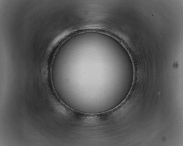 X0000101201406200807071303
