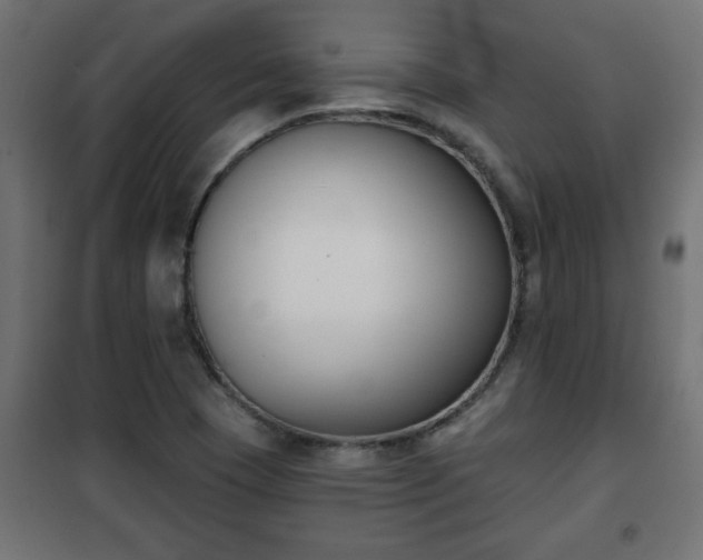 X0000101201409200807071303
