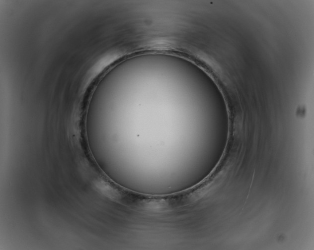 X0000101201410200807071303