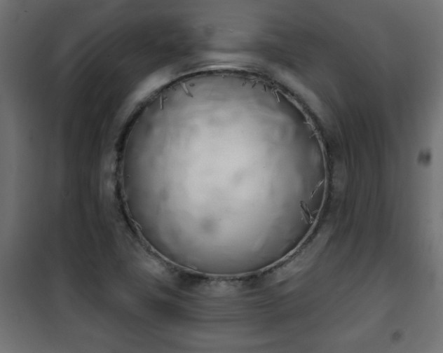 X0000101201411200807071303