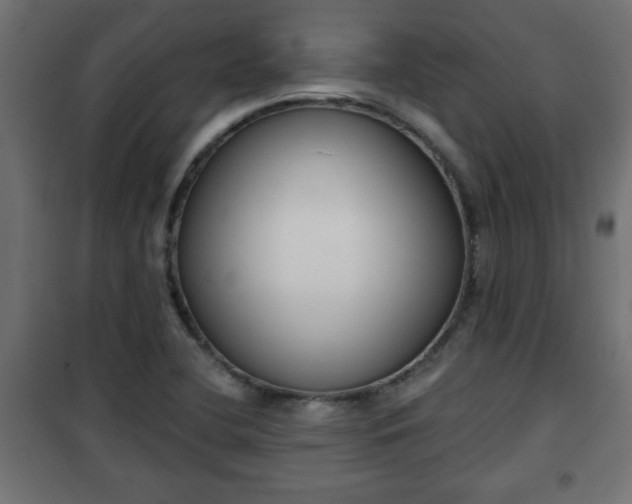 X0000101201412200807071303