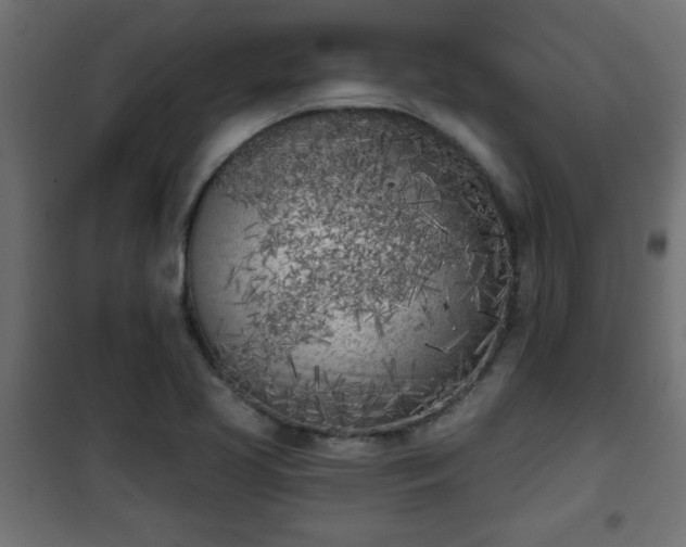 X0000101201413200807071303
