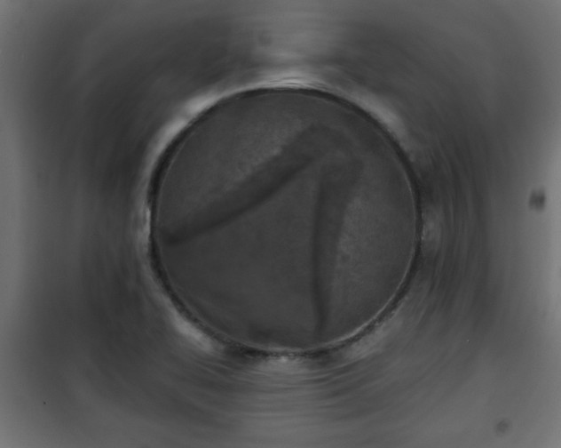 X0000101201414200807071303