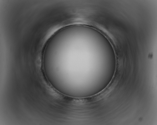 X0000101201415200807071303