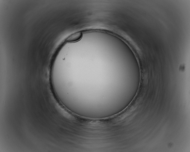 X0000101201416200807071303