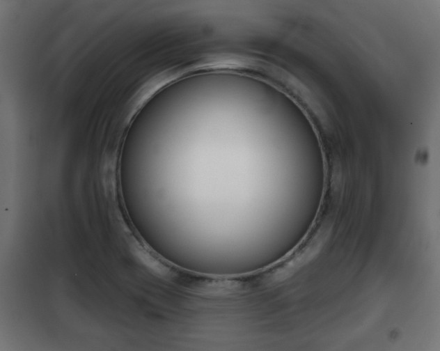 X0000101201417200807071304