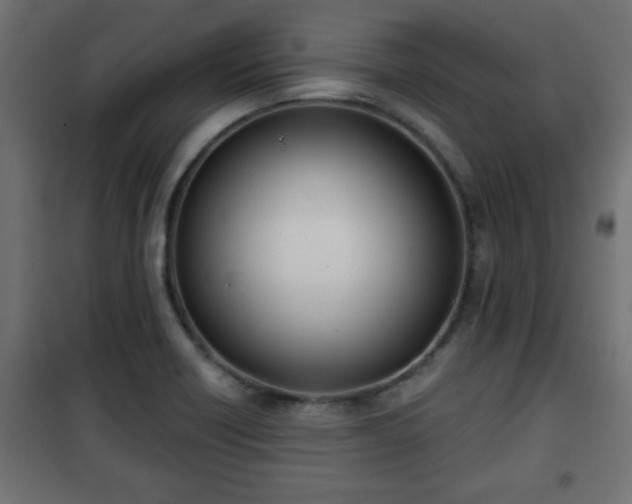 X0000101201418200807071304