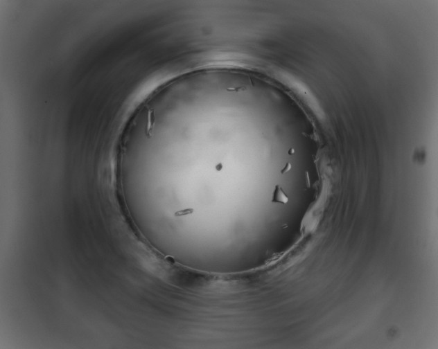 X0000101201419200807071304