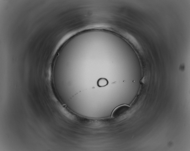 X0000101201420200807071304