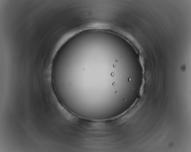 X0000101201421200807071304