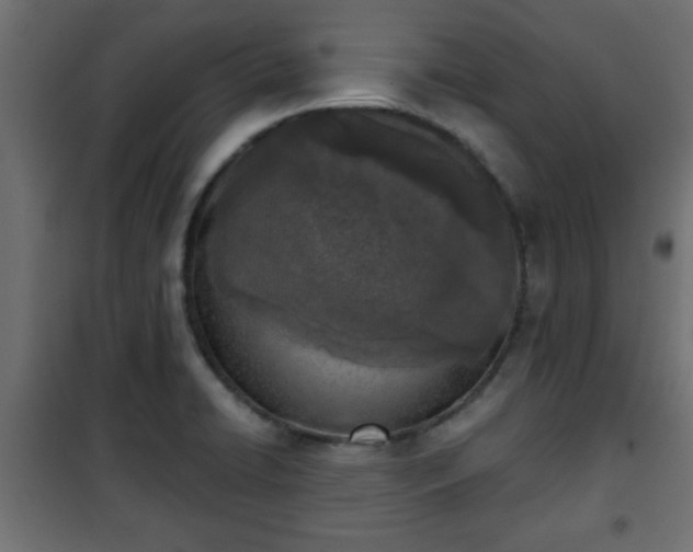 X0000101201422200807071304