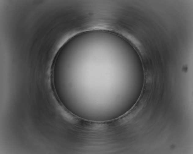 X0000101201423200807071304