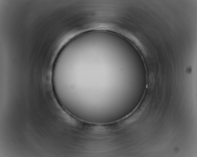 X0000101201424200807071304