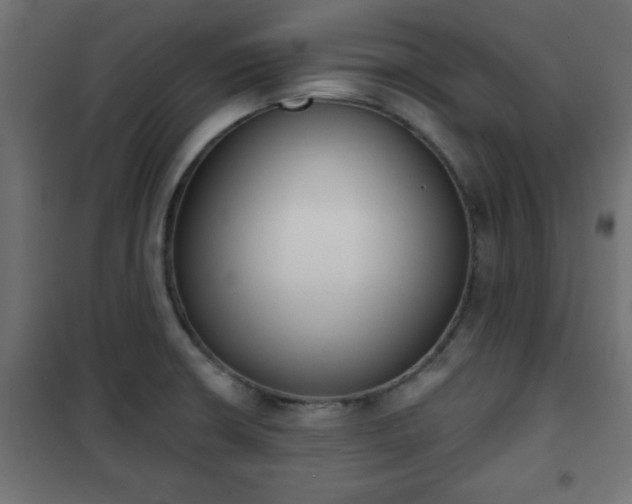 X0000101201426200807071304