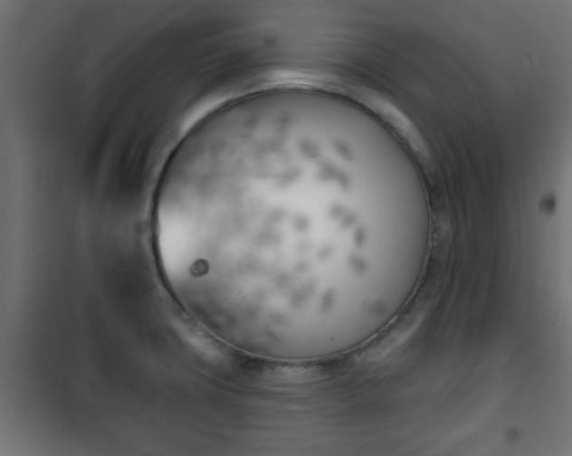 X0000101201427200807071304