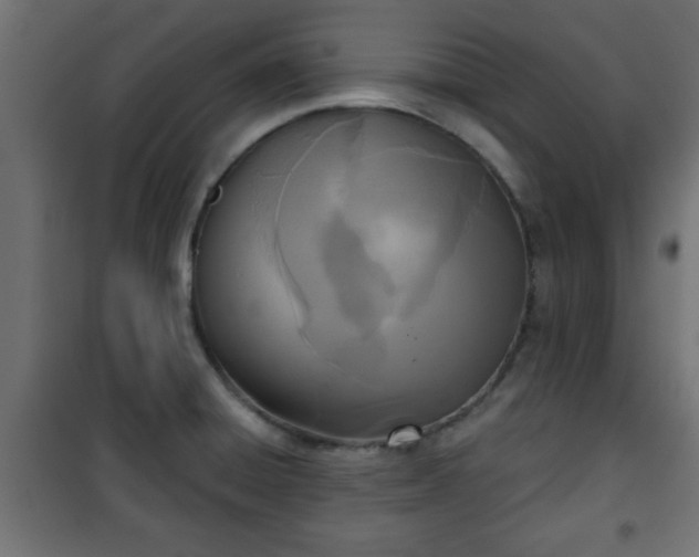 X0000101201428200807071304