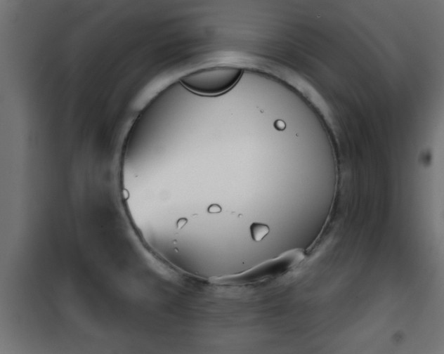 X0000101201429200807071304